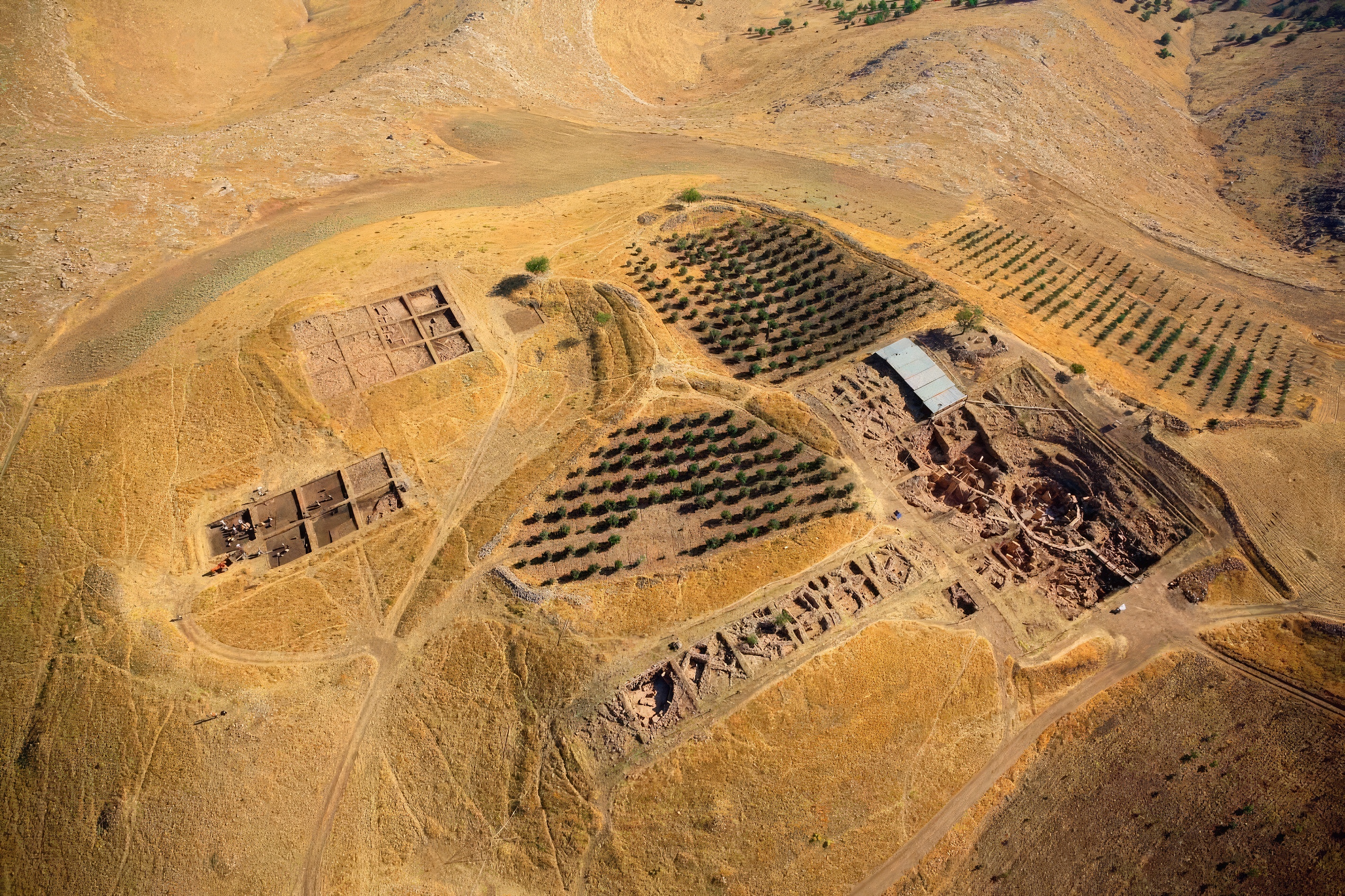 Zamanın Mimarları: Göbeklitepe ve Uygarlığın Doğuşundaki İnanç Devrimi